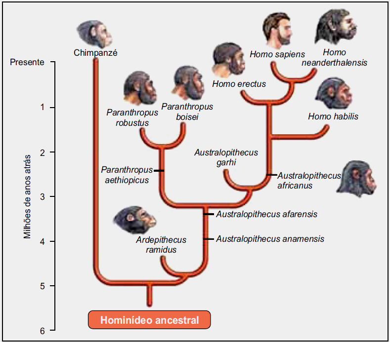 Diagrama

Descrição gerada automaticamente