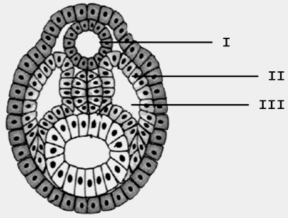 Uma imagem contendo Diagrama

Descrição gerada automaticamente