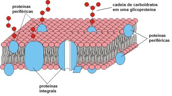 Diagrama

Descrição gerada automaticamente