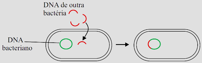 Diagrama

Descrição gerada automaticamente