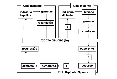 Diagrama

Descrição gerada automaticamente