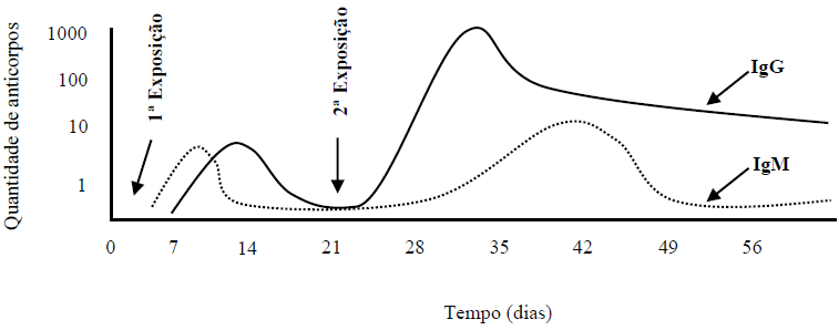 Gráfico

Descrição gerada automaticamente