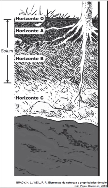 Questão ENEM LIBRAS - 2017 | Geografia | Formação Dos Solos ...