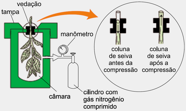 Diagrama, Esquemático

Descrição gerada automaticamente