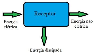 Receptores elétricos. Características dos receptores elétricos